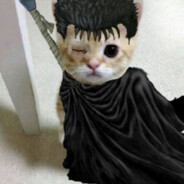 catsuuu