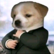 perroelegante