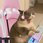 ☬ 𝙎𝙊𝙇𝘾𝙄𝙏𝙊