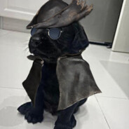 Lud-> child defecator