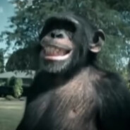 Gorilla 2