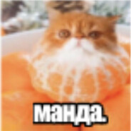вошка