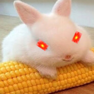 White Rabbit