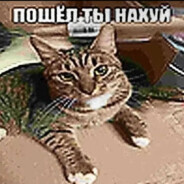 _zxc_