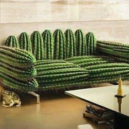 TheCacti