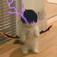 doxty