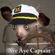 Aye-Aye Captain