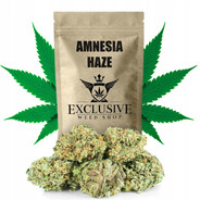 amnesia hazze