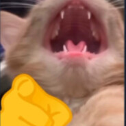Leks.cat