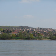 Velja Nevolja