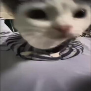 УЗНИК 500 ЭЛО