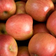 FUJI APPLE