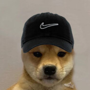 DogyNike