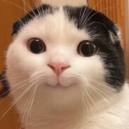 Zero Neko