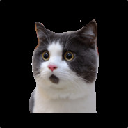 Котейка 55 [MorningRP]