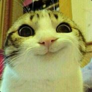 仨瓜俩枣