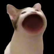 Pop Cat