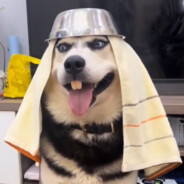 电疗师