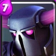 P.E.K.K.A
