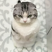 ok