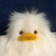 porpypps