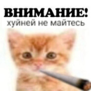 mashkins.b