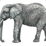 3lephant