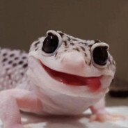 Okgekon