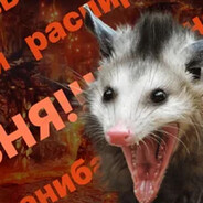 ДикийОпоссум