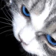 Adobe Photoshop CC 2025