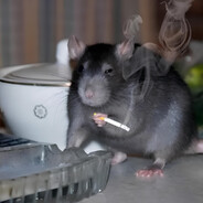 Mr. Ratunga