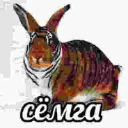 Дима дрель