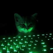 тыц тыц