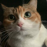 titisama