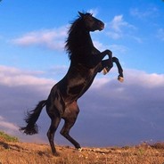 The Horse
