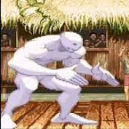 BICHO BLANCO