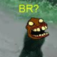 Brcito