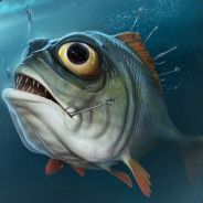 Fisky♆