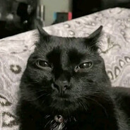 distinguished gentleman