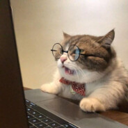 томатный угар