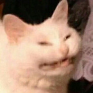 mozzarella