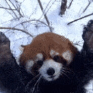 kocham._.pandy