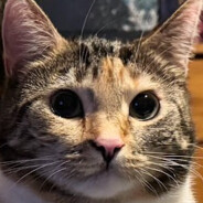 KEFIREK