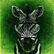 Zebrahimovic