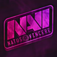 FAKE NAVI TEAM
