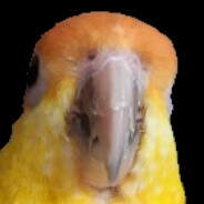 commetteri
