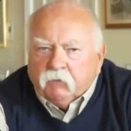 Diabeetus