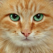 FireStar