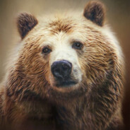 Sleepy Bear