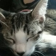 Noxie